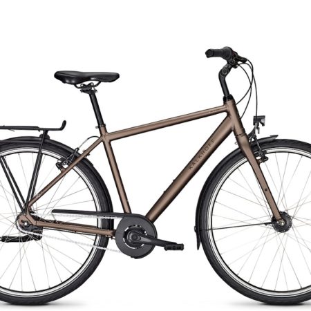 Kalkhoff IMAGE LITE Heren Stal grey matt 55cm 2024